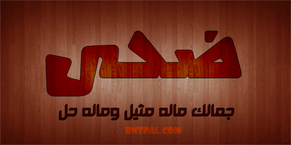 2017 2018 Duha 2016 bntpal.com_147426764