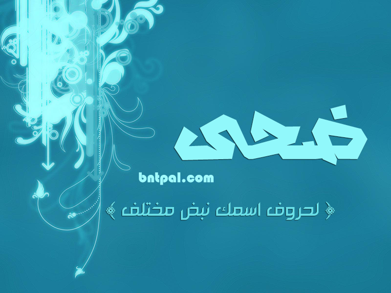 2017 2018 Duha 2016 bntpal.com_147426764