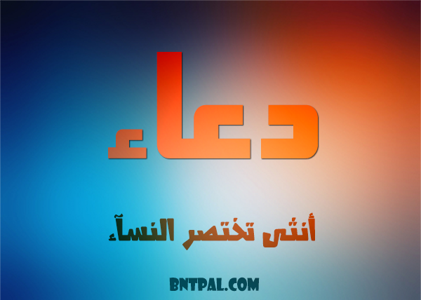 2017 2018 Doaa 2016 bntpal.com_147426893