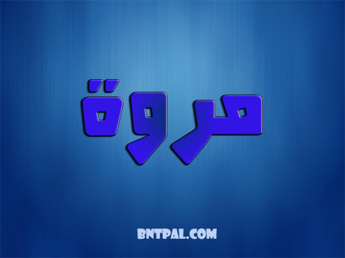 2017 2018 marwa 2016 bntpal.com_147427032