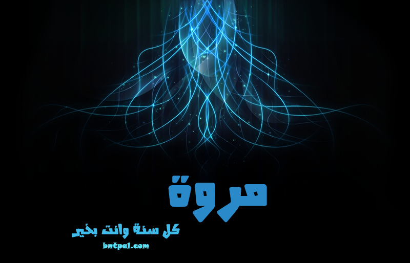 2017 2018 marwa 2016 bntpal.com_147427032