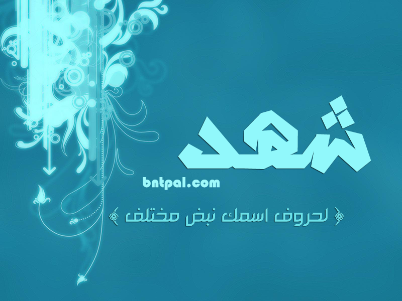 2017 2018 shahad 2016 bntpal.com_147427146