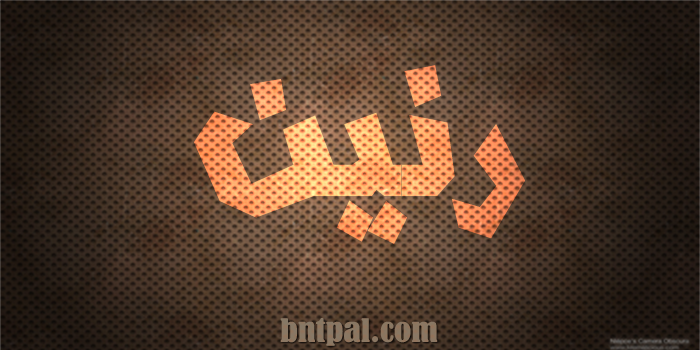 2017 2018 Rneen 2016 bntpal.com_147427225