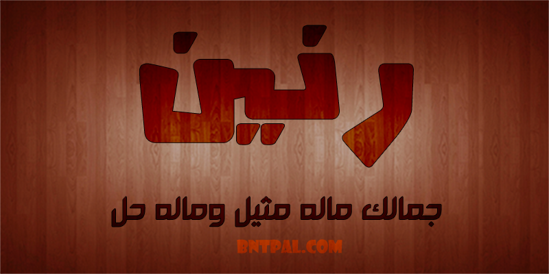 2017 2018 Rneen 2016 bntpal.com_147427225