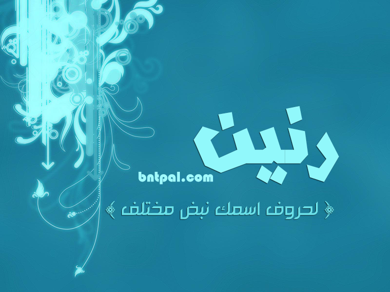 2017 2018 Rneen 2016 bntpal.com_147427225