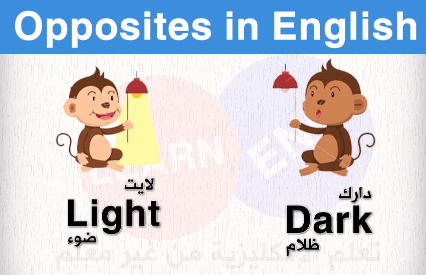   Opposites English bntpal.com_147427378