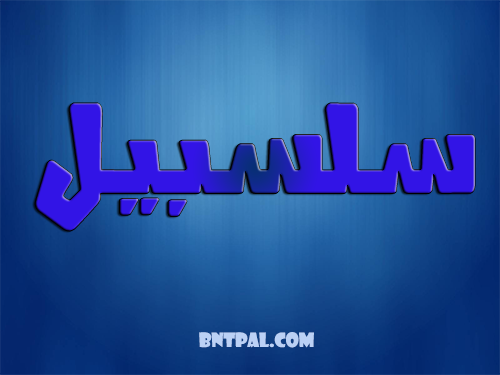 2017 2017 bntpal.com_147427426