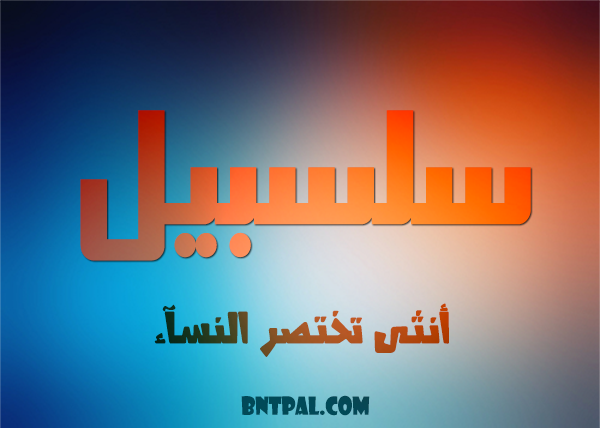 2017 2017 bntpal.com_147427426