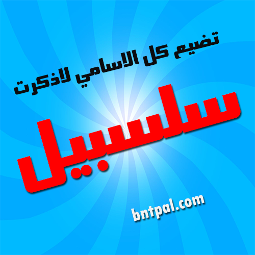 2017 2017 bntpal.com_147427426