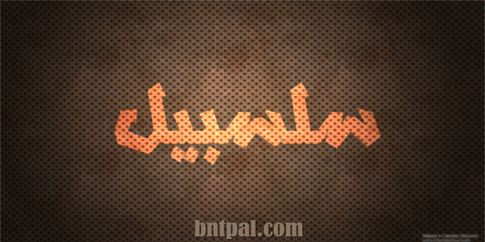 2017 2017 bntpal.com_147427426