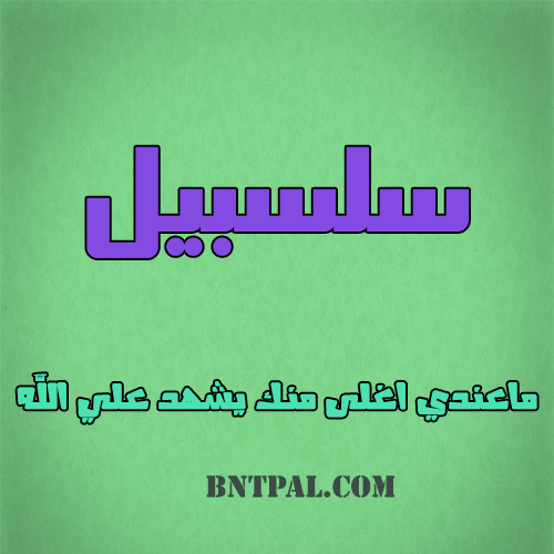 2017 2017 bntpal.com_147427426