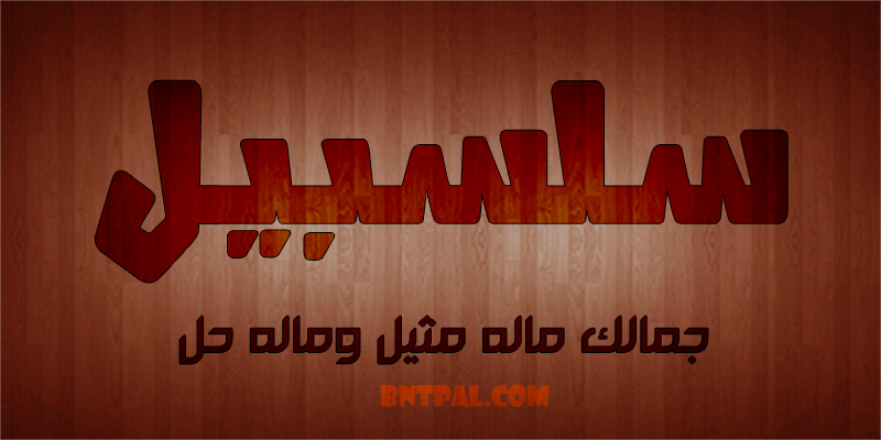 2017 2017 bntpal.com_147427426