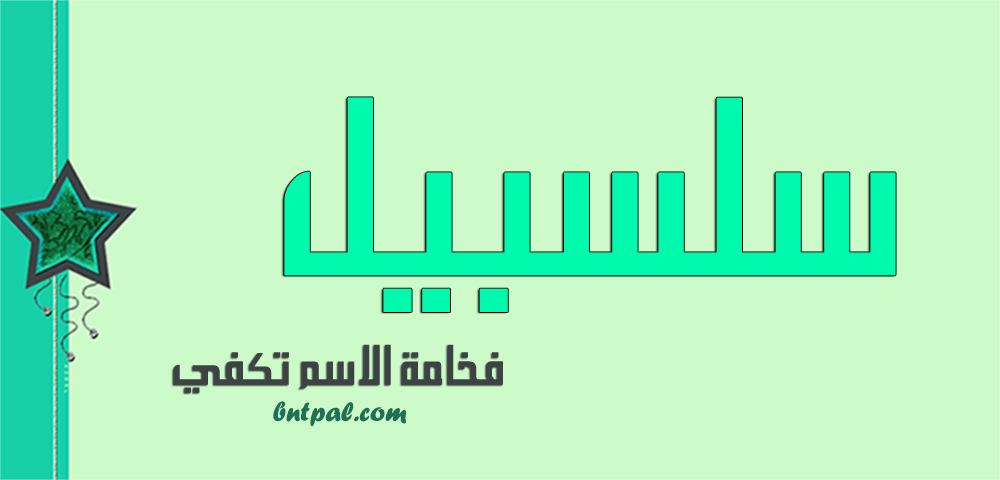 2017 2017 bntpal.com_147427426
