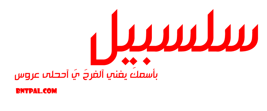 2017 2017 bntpal.com_147427426