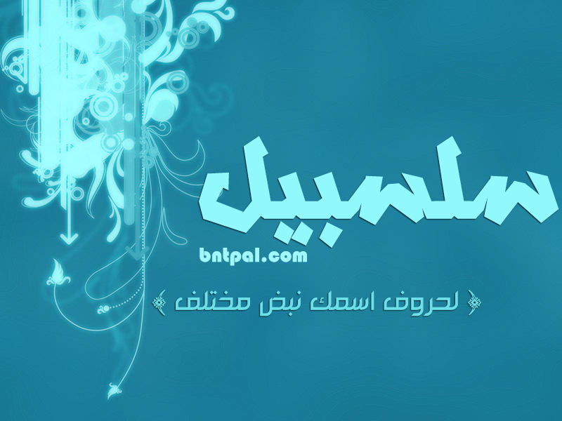 2017 2017 bntpal.com_147427426