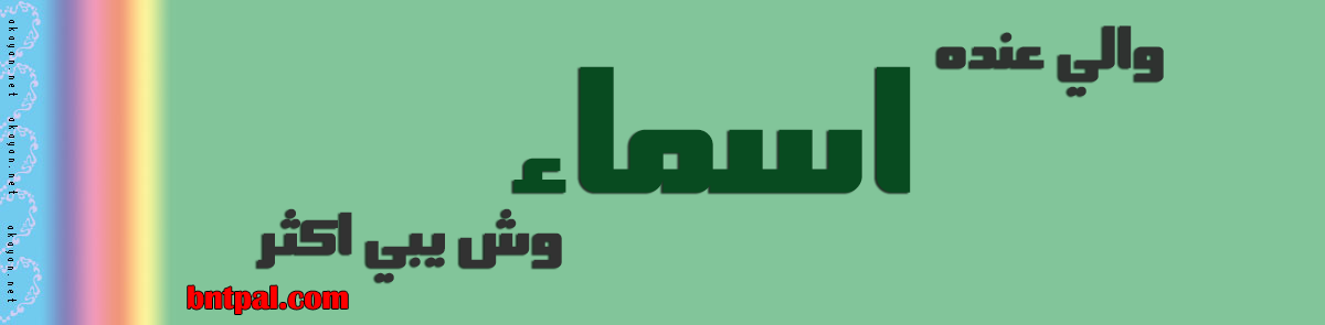 2017 2017 Asmaa bntpal.com_147428975