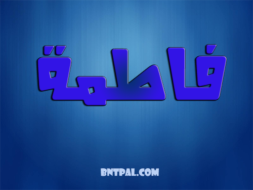 2017 2018 2016 bntpal.com_147429281