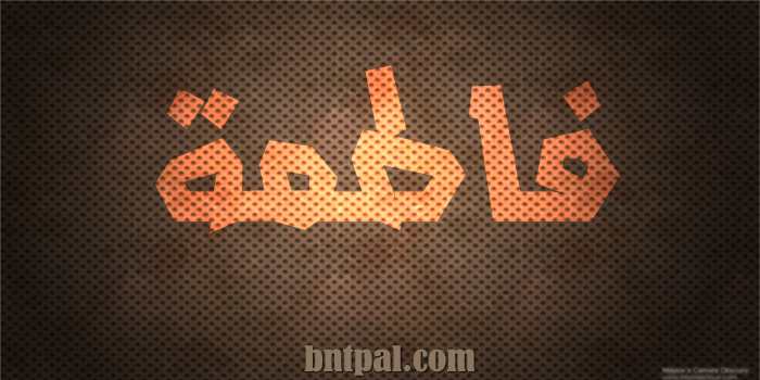 2017 2018 2016 bntpal.com_147429281