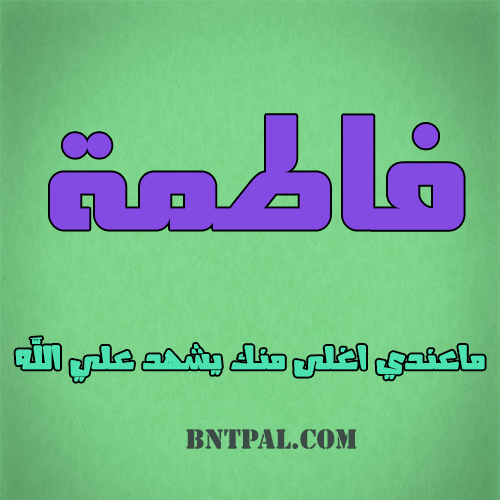 2017 2018 2016 bntpal.com_147429281
