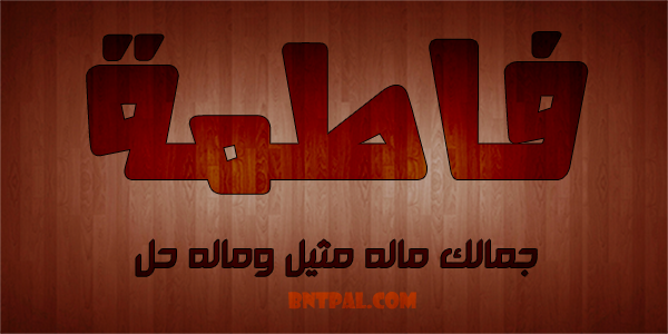 2017 2018 2016 bntpal.com_147429281