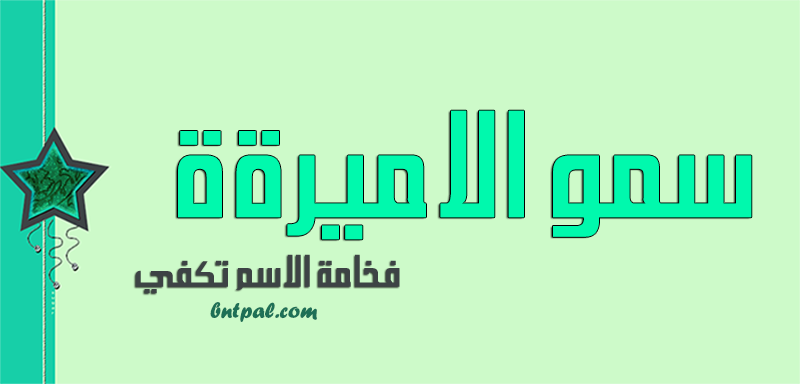 2017 2018 2016 bntpal.com_147429281
