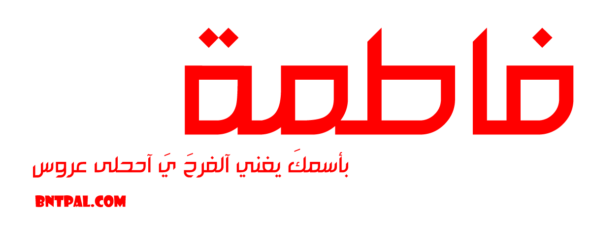 2017 2018 2016 bntpal.com_147429281