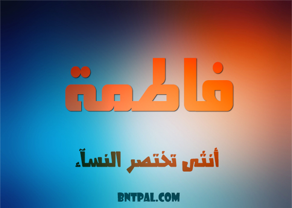 2017 2018 2016 bntpal.com_147429281