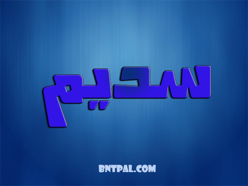 2017 2017 bntpal.com_147429367