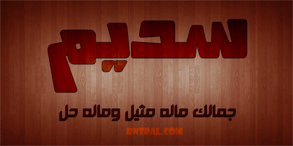 2017 2017 bntpal.com_147429367