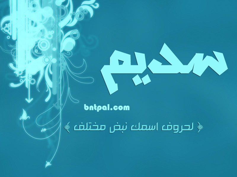 2017 2017 bntpal.com_147429367