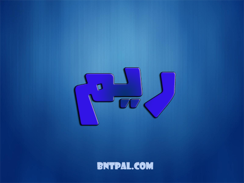 2017 2018 bntpal.com_147429448