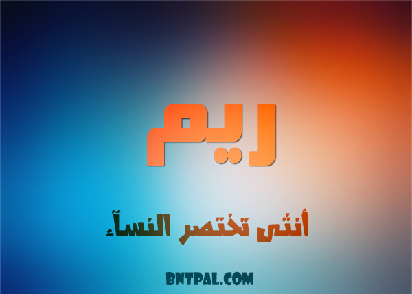 2017 2018 bntpal.com_147429448