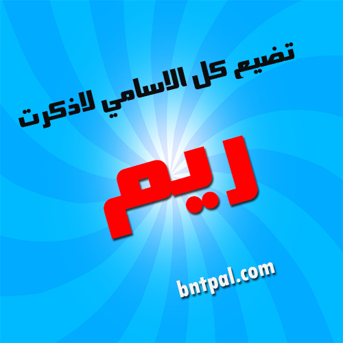 2017 2018 bntpal.com_147429448