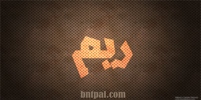 2017 2018 bntpal.com_147429448