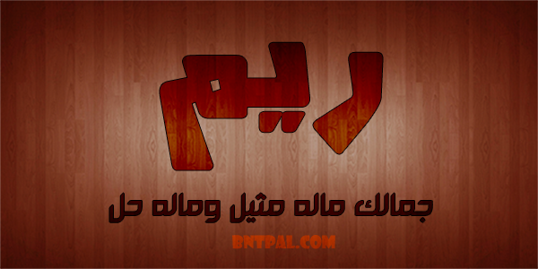 2017 2018 bntpal.com_147429448