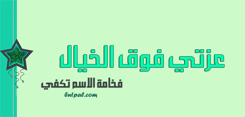2017 2018 bntpal.com_147429448