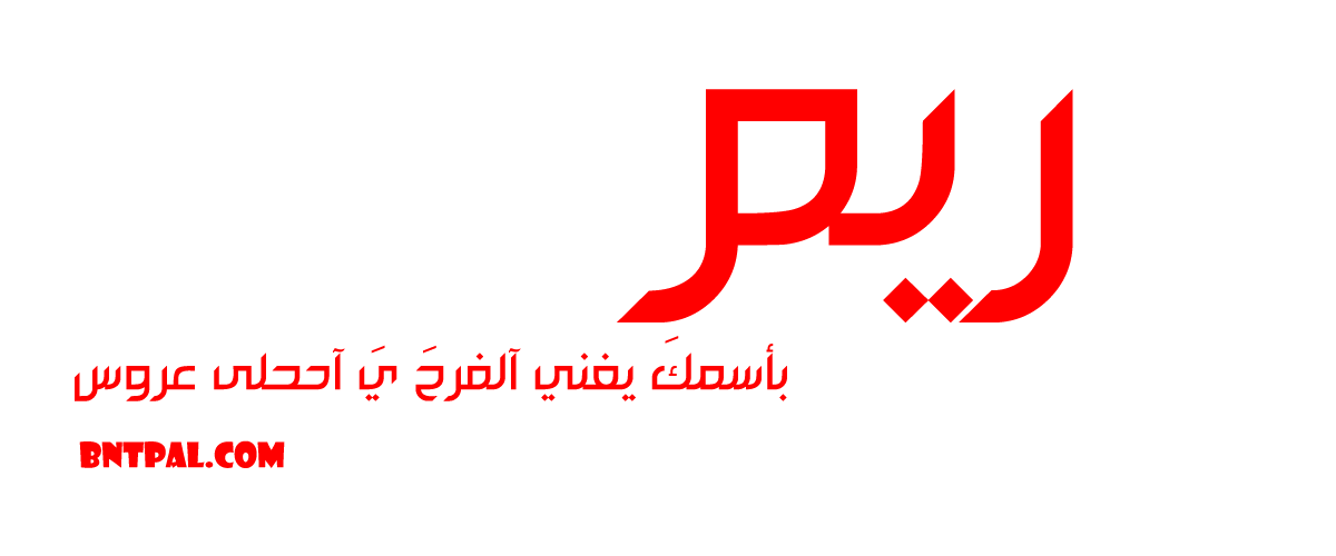2017 2018 bntpal.com_147429448