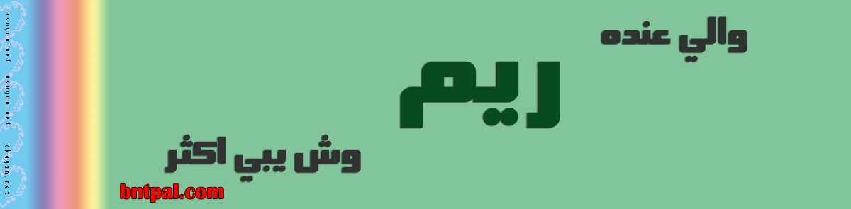 2017 2018 bntpal.com_147429448