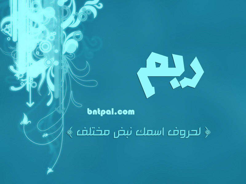2017 2018 bntpal.com_147429448