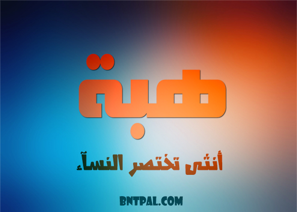 2017 2018 bntpal.com_147429667