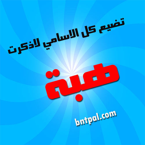 2017 2018 bntpal.com_147429667