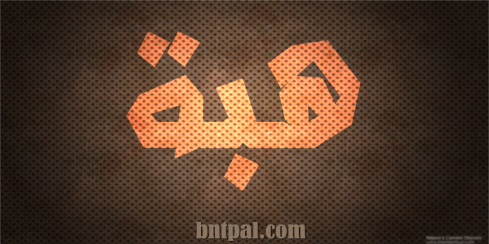 2017 2018 bntpal.com_147429667