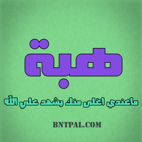 2017 2018 bntpal.com_147429667