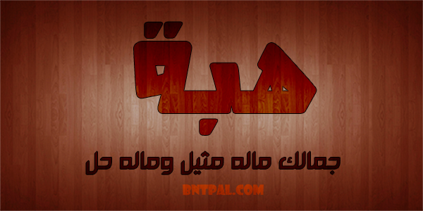 2017 2018 bntpal.com_147429667