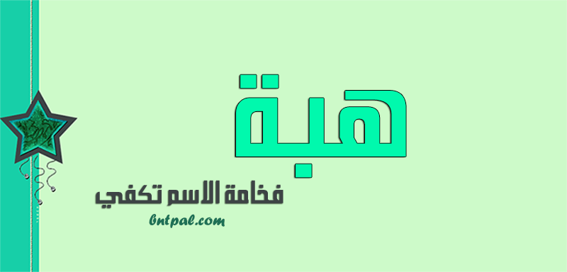 2017 2018 bntpal.com_147429667