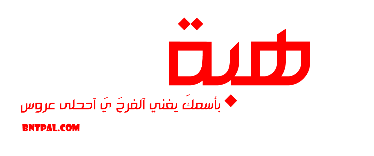 2017 2018 bntpal.com_147429667