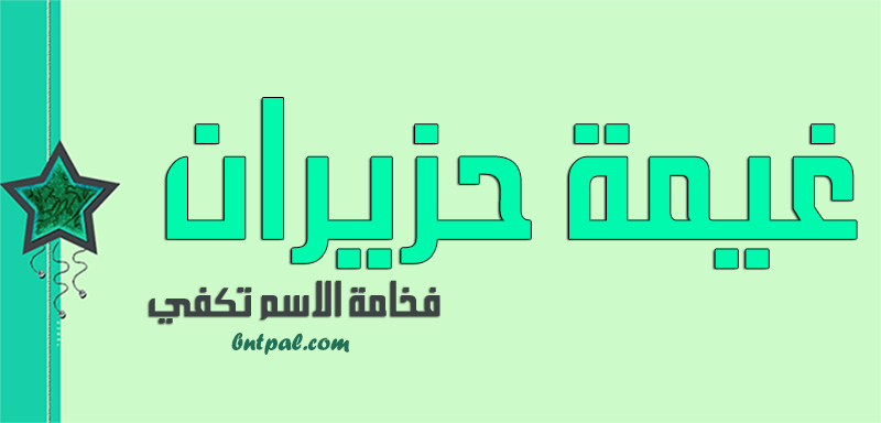 2017 2018 bntpal.com_147429667