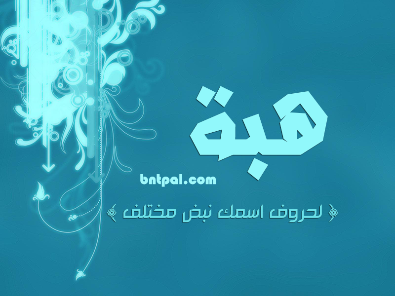 2017 2018 bntpal.com_147429667