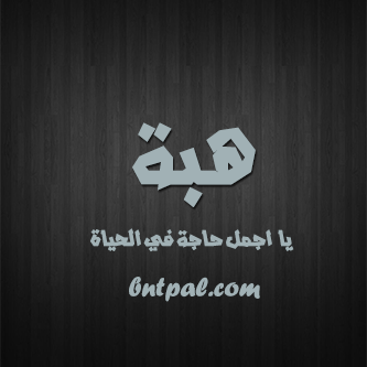 2017 2018 bntpal.com_147429667