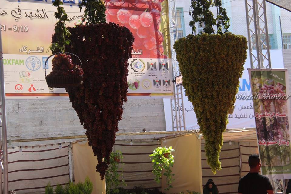 bntpal.com_147430371